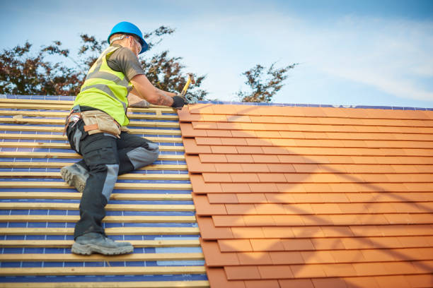 Professional Roofing servicies in Chena Ridge, AK